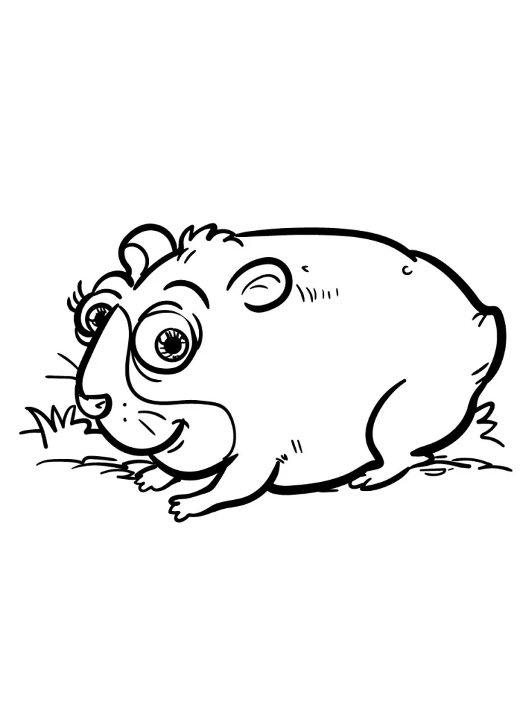 Hamster Coloring Pages (20)